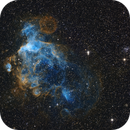 NGC 2018, Eduardo Rigoldi Fernandes