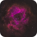 Rosette Nebula, Bozo