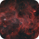 Neighbors in the Rift (Cygnus at 178mm with the WO MiniCat), Taylor Ryle