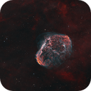 Escaped Brain Spawn, Addos