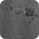 Soleil (2025-06-16) (H-Alpha, CaK, Solar Continuum), Eddy Cochez
