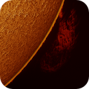solar prominence in h-alpha taken 14072025, nonsens2