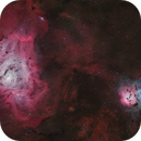Lagoon and Trifid, Adam
