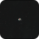 Fetus Nebula, Patrick Jasanis