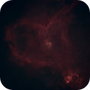 Starless Heart, Catherine Ryan Hyde