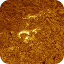 Sun H-alpha: Chromosphere 28.04.2025, Olegs_Astrophotography