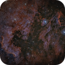 NGC7000 North América Nébula & Pelican Nebula 150/450mm Quattro 2H, Michel