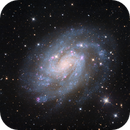 The Sculptor Pinwheel Galaxy, DiscoDuck