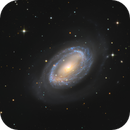 NGC 4725 & NGC 4747, Steven "Nøkk" Song