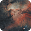 NGC6188 The fighting dragons of Ara, Anne-Maree McComb
