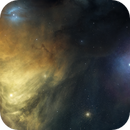 Antares Region - Rho Ophiuchi, Gilmour Dickson