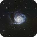 M101, Stefano Zamblera