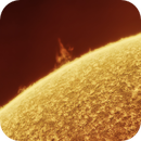 Solar Prominence, Michael Kalika