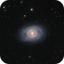 M 95, Roberto Marinoni