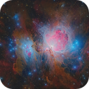 The Great Orion Nebula, Damien Cannane