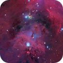 NGC 1999 & the Enigmatic Cavity in Orion, Alpha Zhang