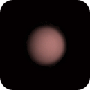 Venus (12/29/2022)