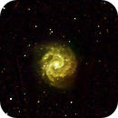 NGC 3181, Peter Bresler