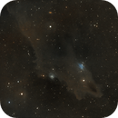 LDN1235_Shark_nebula, GERALD GAGNE