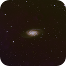 NGC2903, Ross Salinger