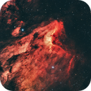 Pelican nebula, Ákos Takács