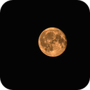 Strawberry Moon (13.06.2025), Reinhold Lamb