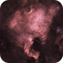 NGC7000, the North America Nebula, Catherine Ryan Hyde