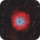 Sh2-170, Roberto Marinoni