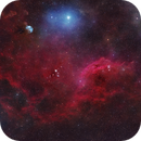 LDN1667, SH2-310, VDB96 - Treasures in Canis Major, John Dziuba