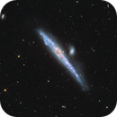 NGC 4631 / Whale Galaxy (Cropped), Dale Penkala