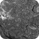 Sun H-alpha: Chromosphere 27.04.2025, Olegs_Astrophotography