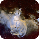 Statue of Liberty Nebula NGC 3586 SHO, Peter Bresler