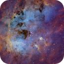 Heart of the Tadpole — IC 410 in Hubble Palette, Alpha Zhang