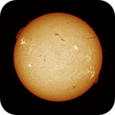 Sun FD in H-Alpha 10th of July 2025 - Colorized, Arne Danielsen