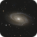 Bode's Galaxy 2024, Kevin