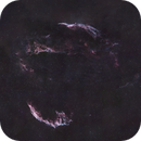 The Cygnus Loop, Catherine Ryan Hyde
