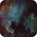 NGC 7000 / North America Nebula (SHO Starless), Turix