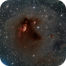 LDN 1551: A Star-Forming Region in Taurus, Alpha Zhang