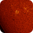 AR14124 in h-alpha taken 29062025, nonsens2