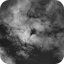 IC1318 - Sadr Region in Ha, Andreas Preusker