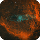 Flying Bat and the Giant Squid Nebula, Kartik Madhira