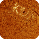 AR14222 in h-alpha taken  29062025, nonsens2