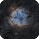 Elephant's Trunk Nebula (Calibrated and reprocessed), Andrew Whiter