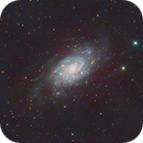 NGC2404 (Caldwell 7), Sandro Fossi