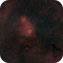 Cone Nebula C6 Hyperstar, Bozo