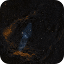SH2-129 & Ou4 (Flying Bat Nebula & Giant Squid Nebula) in CEPHEUS, Alberto Lopez