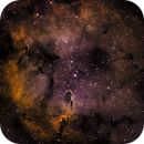 Elephant's Trunk in Hyperstar, Bozo