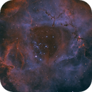 NGC 2237 (The Rosette Nebula), John Leader