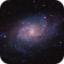 M33 - Triangulum Galaxy | RGB + HOO | First Light for my new RC 8", ArvitZ