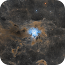 NGC7023 - The Iris Nebula, AstroDarks
